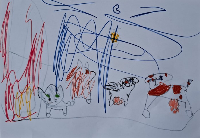 Bondegårdskøerne